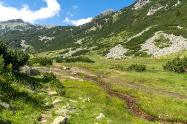 Bulgaristan 'ın Banderitsa Nehri yakınlarındaki Pirin Dağı' nın şaşırtıcı yaz manzarası