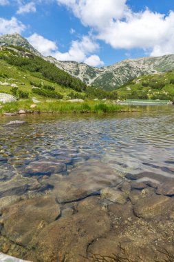 Bulgaristan 'ın Banderitsa Nehri yakınlarındaki Pirin Dağı' nın şaşırtıcı yaz manzarası