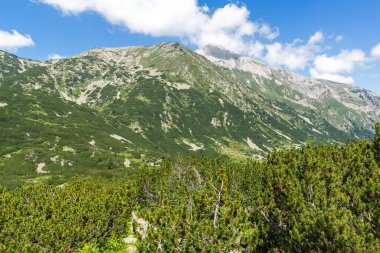 Bulgaristan 'ın Banderitsa Nehri yakınlarındaki Pirin Dağı' nın şaşırtıcı yaz manzarası