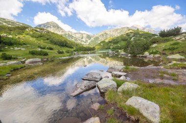 Bulgaristan 'ın Banderitsa Nehri yakınlarındaki Pirin Dağı' nın şaşırtıcı yaz manzarası