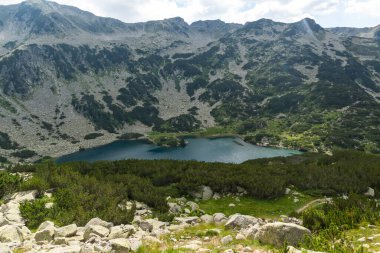 Bulgaristan 'ın Banderitsa Nehri yakınlarındaki Pirin Dağı' nın şaşırtıcı yaz manzarası
