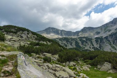 Bulgaristan 'ın Banderitsa Nehri yakınlarındaki Pirin Dağı' nın şaşırtıcı yaz manzarası