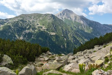 Bulgaristan 'ın Banderitsa Nehri yakınlarındaki Pirin Dağı' nın şaşırtıcı yaz manzarası