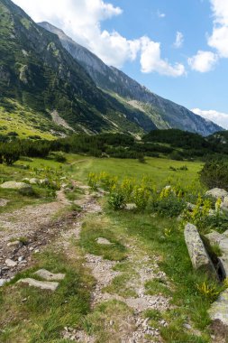 Bulgaristan 'ın Banderitsa Nehri yakınlarındaki Pirin Dağı' nın şaşırtıcı yaz manzarası