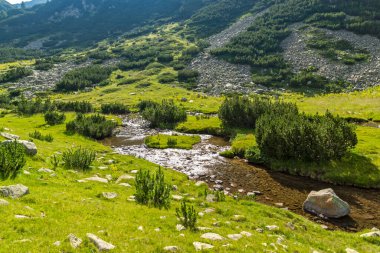 Bulgaristan 'ın Banderitsa Nehri yakınlarındaki Pirin Dağı' nın şaşırtıcı yaz manzarası