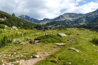 Bulgaristan 'ın Banderitsa Nehri yakınlarındaki Pirin Dağı' nın şaşırtıcı yaz manzarası