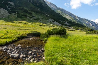 Bulgaristan 'ın Banderitsa Nehri yakınlarındaki Pirin Dağı' nın şaşırtıcı yaz manzarası