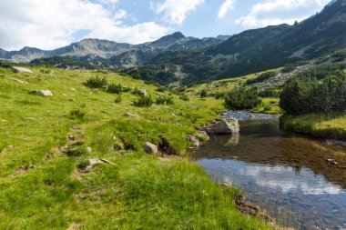 Bulgaristan 'ın Banderitsa Nehri yakınlarındaki Pirin Dağı' nın şaşırtıcı yaz manzarası