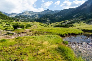 Bulgaristan 'ın Banderitsa Nehri yakınlarındaki Pirin Dağı' nın şaşırtıcı yaz manzarası