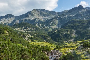 Bulgaristan 'ın Banderitsa Nehri yakınlarındaki Pirin Dağı' nın şaşırtıcı yaz manzarası