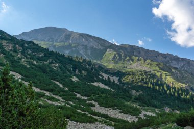 Bulgaristan 'ın Banderitsa Nehri yakınlarındaki Pirin Dağı' nın şaşırtıcı yaz manzarası