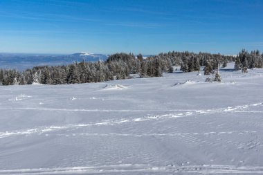 Bulgaristan 'ın Sofya Şehir Bölgesi, Vitosha Dağı' nın İnanılmaz Kış manzarası