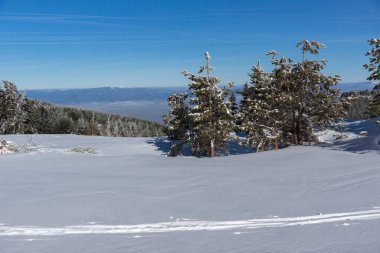 Bulgaristan 'ın Sofya Şehir Bölgesi, Vitosha Dağı' nın İnanılmaz Kış manzarası