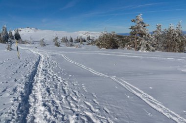 Bulgaristan 'ın Sofya Şehir Bölgesi, Vitosha Dağı' nın İnanılmaz Kış manzarası