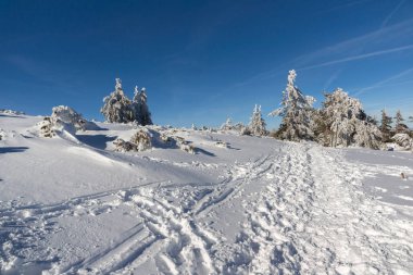 Bulgaristan 'ın Sofya Şehir Bölgesi, Vitosha Dağı' nın İnanılmaz Kış manzarası