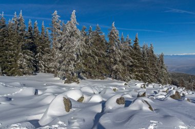 Bulgaristan 'ın Sofya Şehir Bölgesi, Vitosha Dağı' nın İnanılmaz Kış manzarası