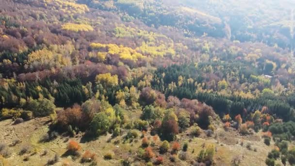 Fantastisk Antenn Hösten Vitosha Mountain Bulgarien — Stockvideo