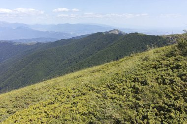 Bulgaristan 'ın Blagoevgrad bölgesindeki Belasitsa Dağı' nın şaşırtıcı yaz manzarası