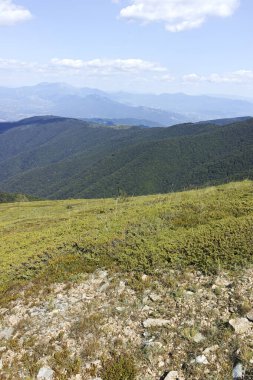 Bulgaristan 'ın Blagoevgrad bölgesindeki Belasitsa Dağı' nın şaşırtıcı yaz manzarası