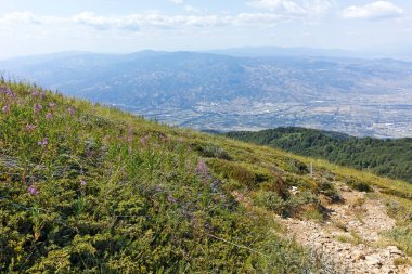 Bulgaristan 'ın Blagoevgrad bölgesindeki Belasitsa Dağı' nın şaşırtıcı yaz manzarası