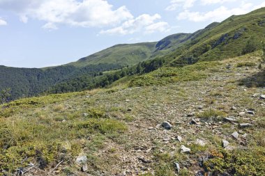 Bulgaristan 'ın Blagoevgrad bölgesindeki Belasitsa Dağı' nın şaşırtıcı yaz manzarası