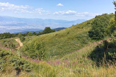 Bulgaristan 'ın Blagoevgrad bölgesindeki Belasitsa Dağı' nın şaşırtıcı yaz manzarası