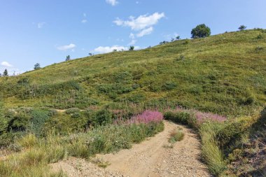 Bulgaristan 'ın Blagoevgrad bölgesindeki Belasitsa Dağı' nın şaşırtıcı yaz manzarası