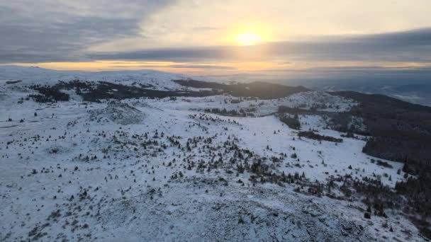 Úžasný Výhled Zimní Západ Slunce Horu Vitosha Poblíž Kamen Del — Stock video