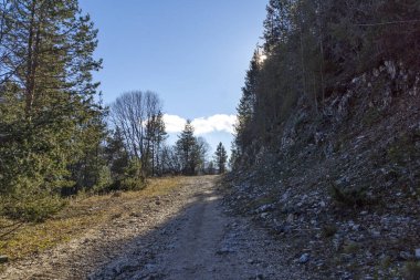 Amazing Landscape of Pirin Mountain near Orelyak peak, Bulgaria