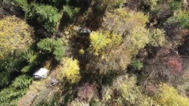 Bulgaristan 'ın Vitosha Dağı' nın İnanılmaz Sonbaharı