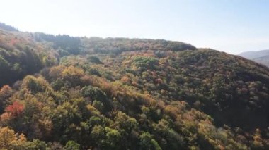 Bulgaristan 'ın Vitosha Dağı' nın İnanılmaz Sonbaharı