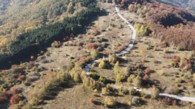 Bulgaristan 'ın Vitosha Dağı' nın İnanılmaz Sonbaharı