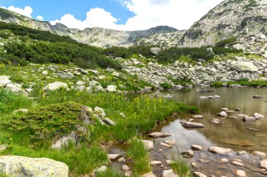 Amazing Summer view of Pirin Mountain around Banderitsa River, Bulgaria