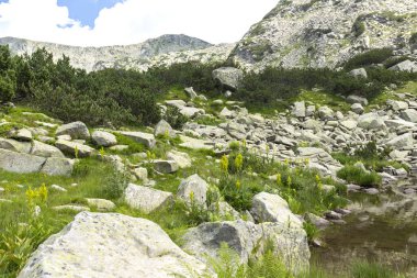 Amazing Summer view of Pirin Mountain around Banderitsa River, Bulgaria