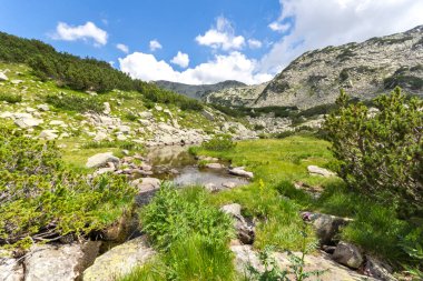 Amazing Summer view of Pirin Mountain around Banderitsa River, Bulgaria