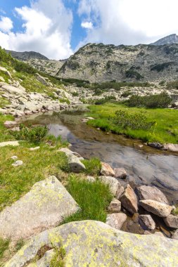 Amazing Summer view of Pirin Mountain around Banderitsa River, Bulgaria