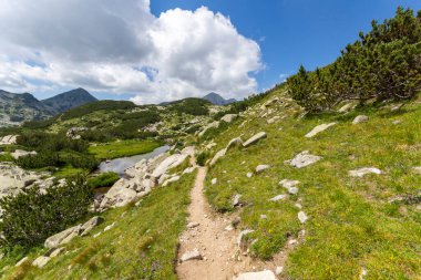 Amazing Summer view of Pirin Mountain around Banderitsa River, Bulgaria
