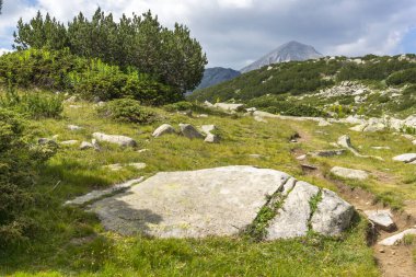 Amazing Summer view of Pirin Mountain around Banderitsa River, Bulgaria
