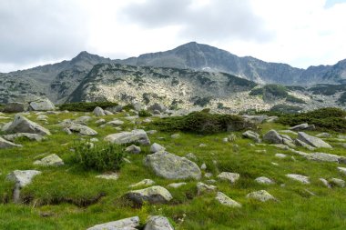Amazing Summer view of Pirin Mountain around Banderitsa River, Bulgaria