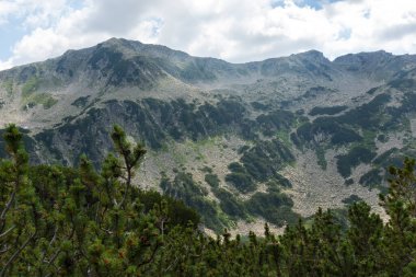 Amazing Summer view of Pirin Mountain around Banderitsa River, Bulgaria
