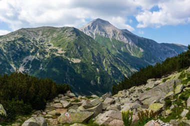 Amazing Summer view of Pirin Mountain around Banderitsa River, Bulgaria