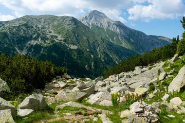 Amazing Summer view of Pirin Mountain around Banderitsa River, Bulgaria