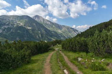 Amazing Summer view of Pirin Mountain around Banderitsa River, Bulgaria