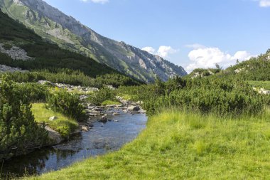 Amazing Summer view of Pirin Mountain around Banderitsa River, Bulgaria