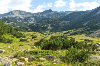 Amazing Summer view of Pirin Mountain around Banderitsa River, Bulgaria