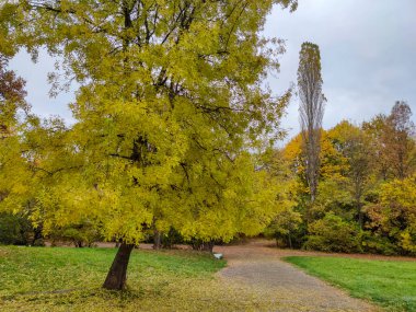 Bulgaristan 'ın Sofya kentindeki South Park' ın şaşırtıcı sonbahar manzarası