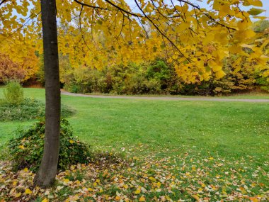 Bulgaristan 'ın Sofya kentindeki South Park' ın şaşırtıcı sonbahar manzarası