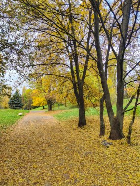 Bulgaristan 'ın Sofya kentindeki South Park' ın şaşırtıcı sonbahar manzarası