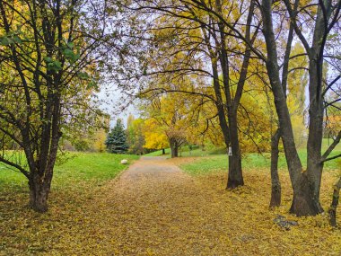 Bulgaristan 'ın Sofya kentindeki South Park' ın şaşırtıcı sonbahar manzarası