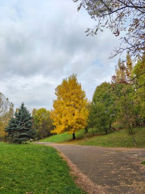 Bulgaristan 'ın Sofya kentindeki South Park' ın şaşırtıcı sonbahar manzarası